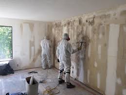 Best Environmental Consulting for Mold Prevention in Manawa, WI